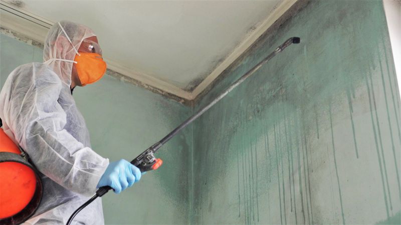 Air Duct Mold Removal in West Palm Beach, FL
