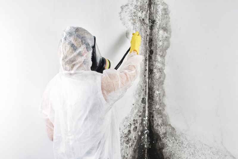 Basement Mold Removal in West Palm Beach, FL
