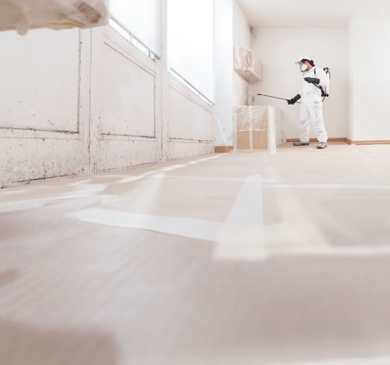 Basement Mold Removal in Fort Lauderdale, FL