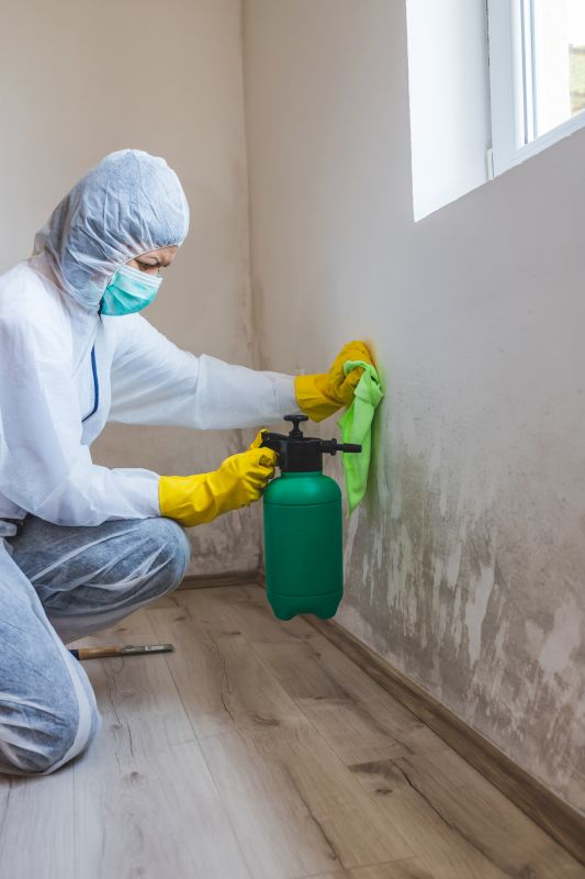 Basement Mold Removal in Jupiter, FL