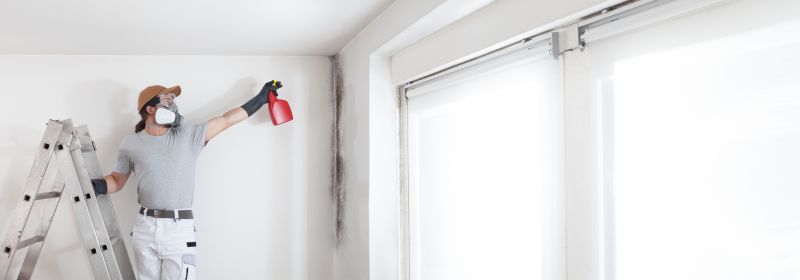 Crawl Space Mold Removal in Broward County, FL