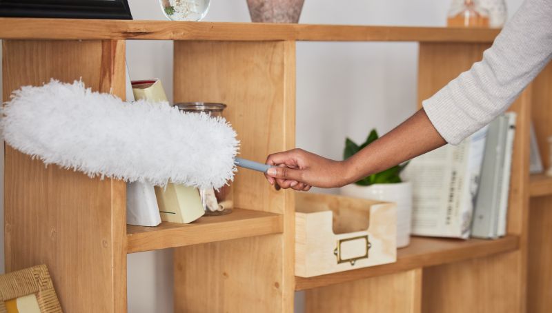 Dusting and Surface Cleaning