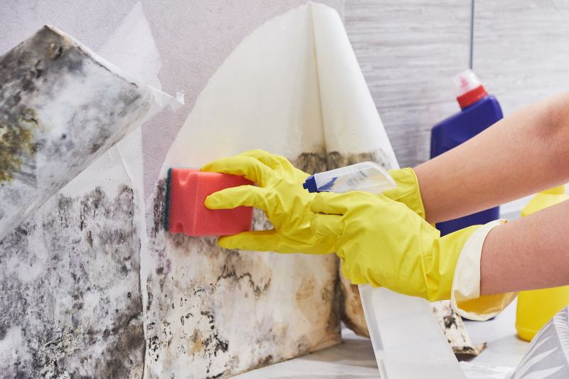 Mold Cleanup Service in Jupiter, FL