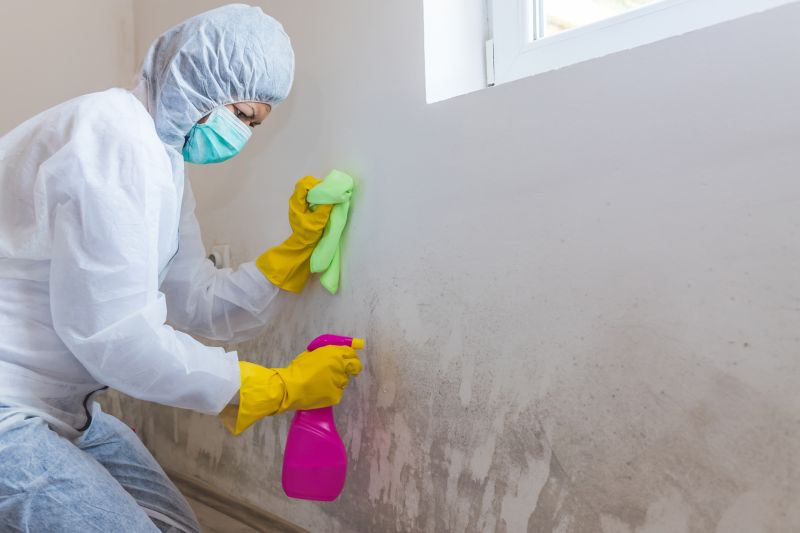 Mold Remediation Service in Fort Worth, TX
