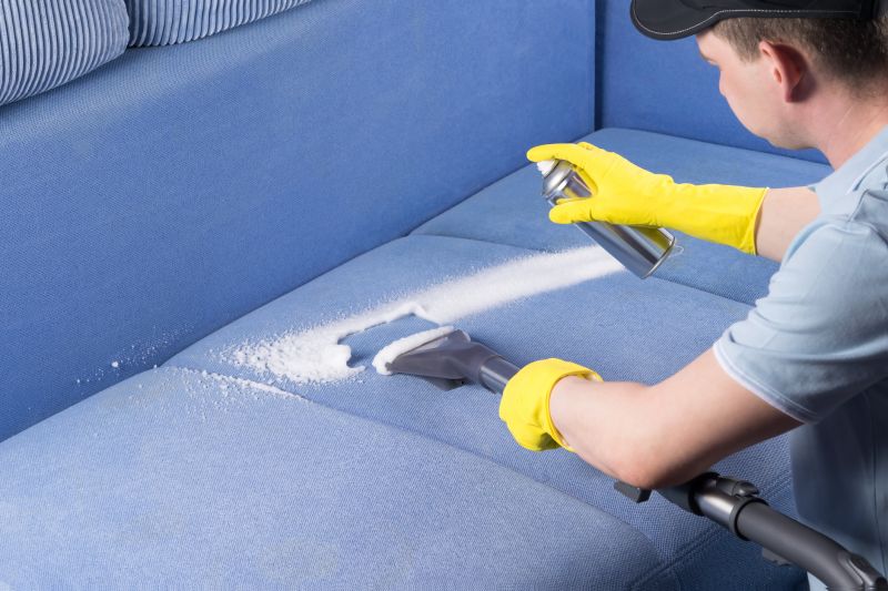 Why Professional Upholstery And Furniture Cleaning Matters