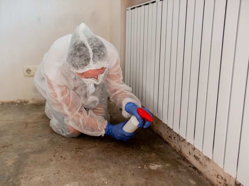 Basement Mold Removal in Broward County, FL