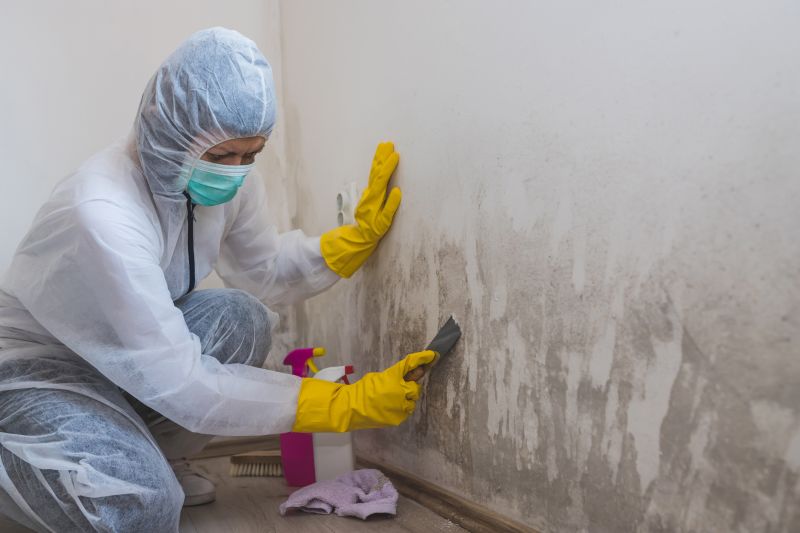 Ceiling Mold Removal in Fort Worth, TX